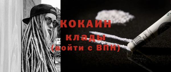 винт Ветлуга