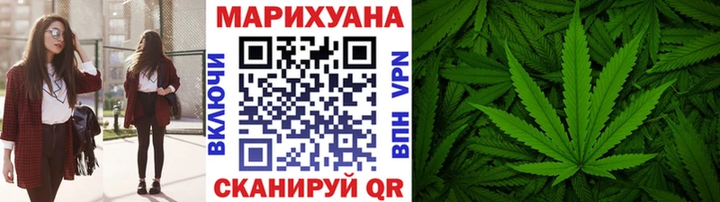 Купить где  Ладушкин  Каннабис сатива 
